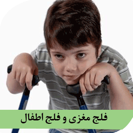 پاورپوینت فلج مغزی  Cerebrd Palsy